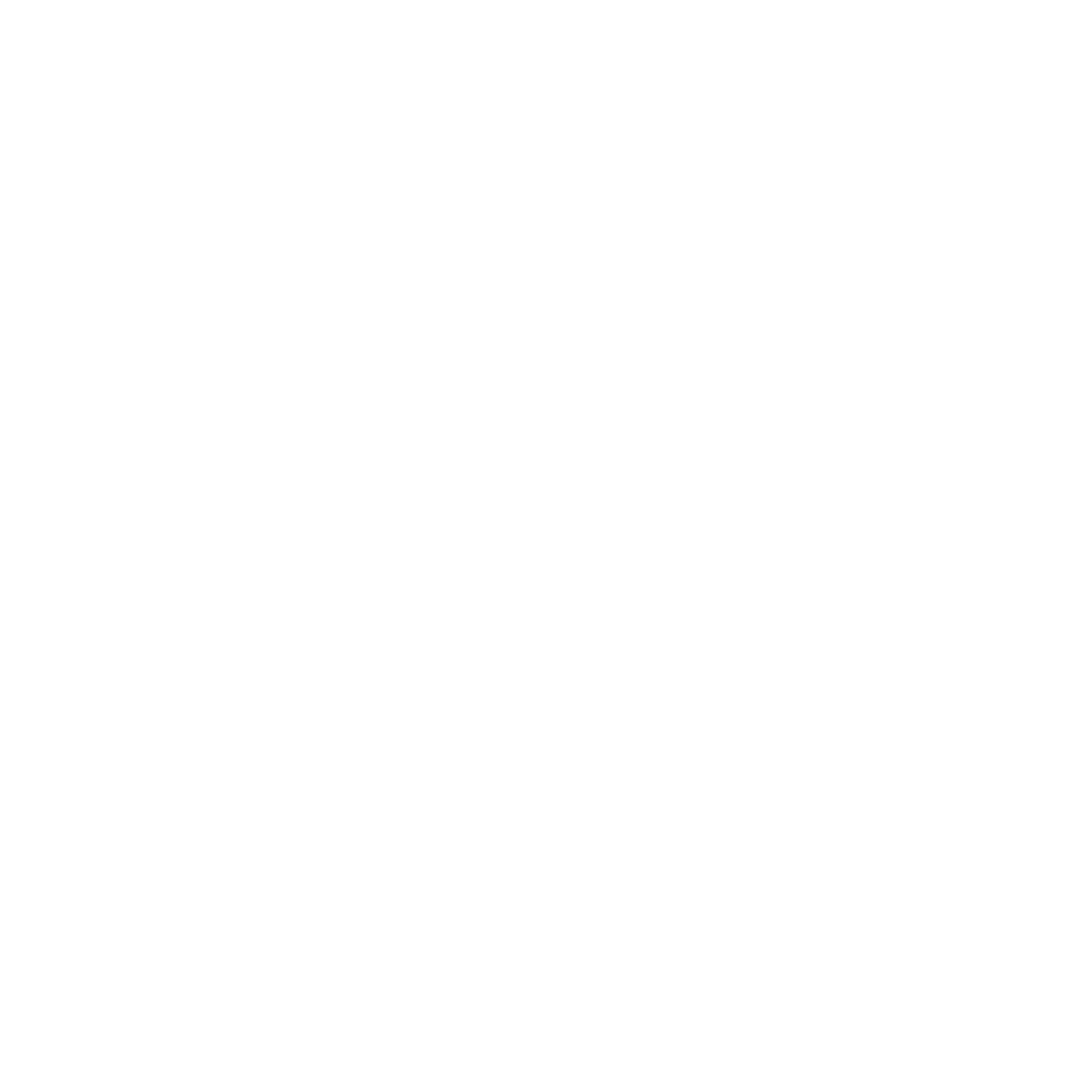 Shining Material logo